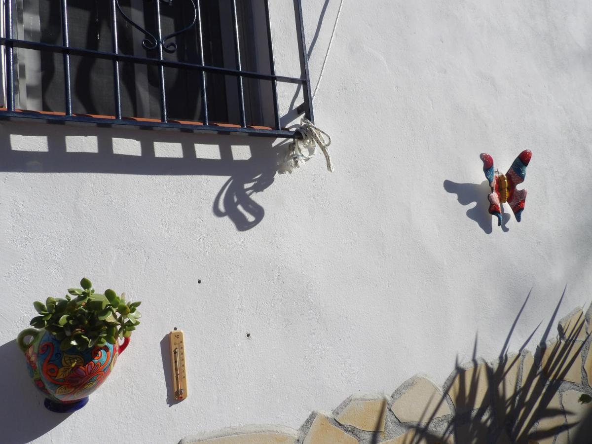 Finca Floretta Canillas de Albaida Exteriör bild