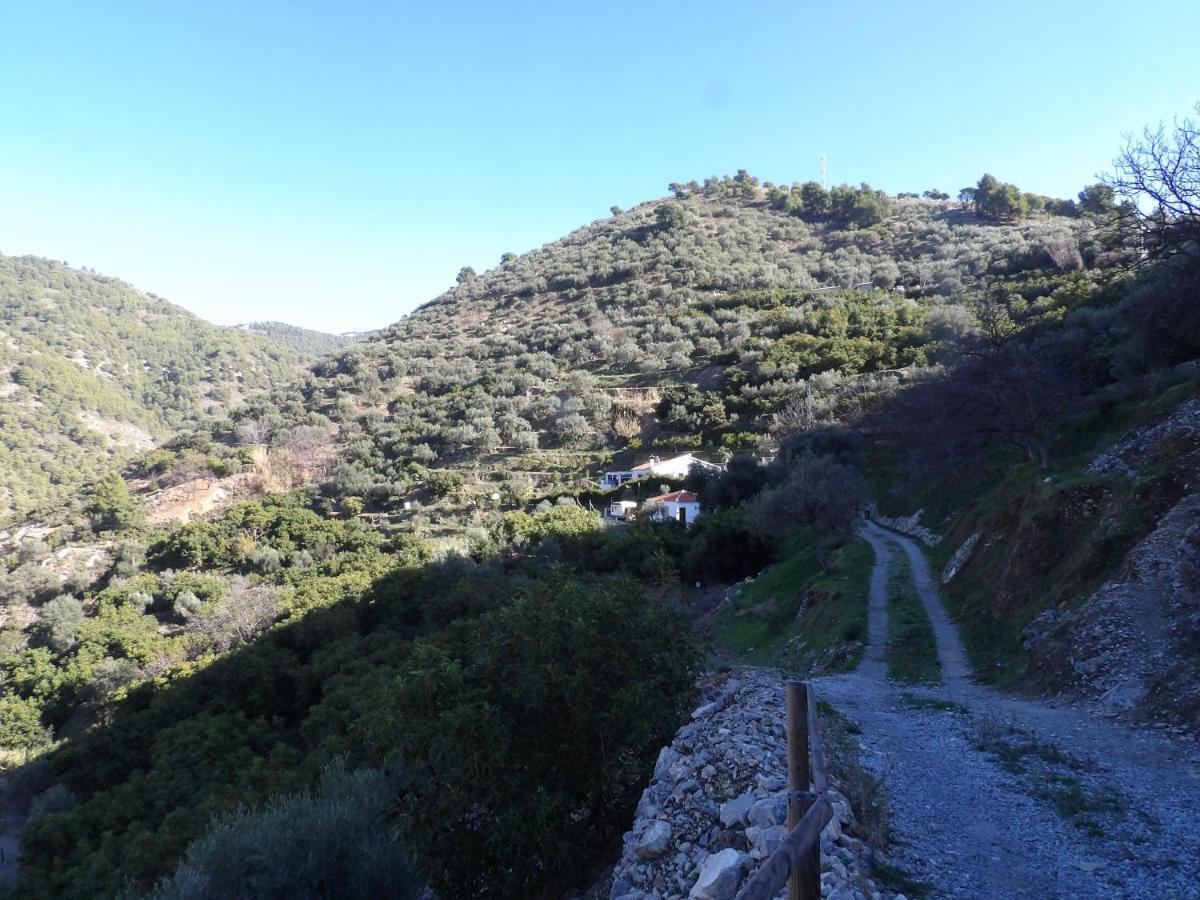 Finca Floretta Canillas de Albaida Exteriör bild