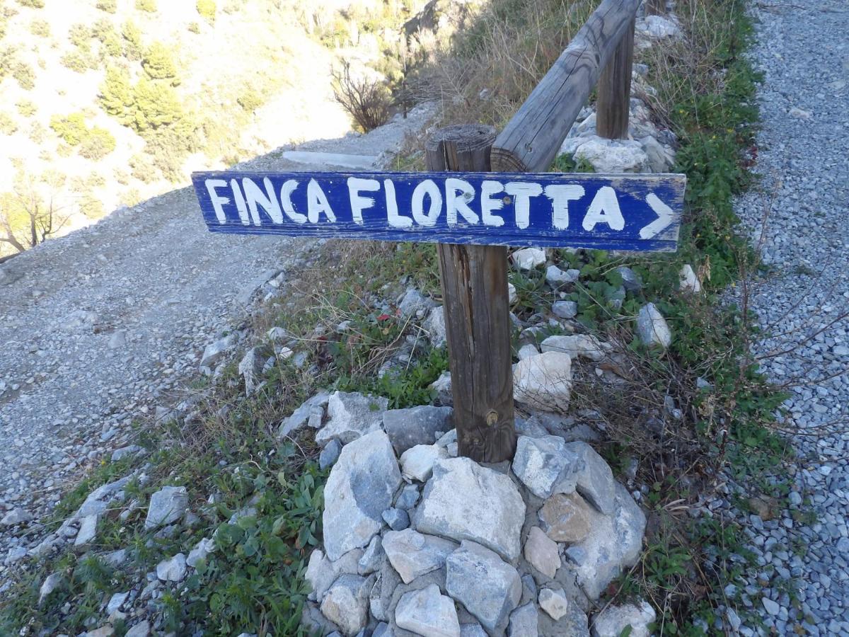 Finca Floretta Canillas de Albaida Exteriör bild